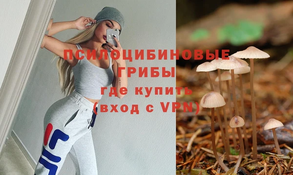 ALPHA-PVP Алексин