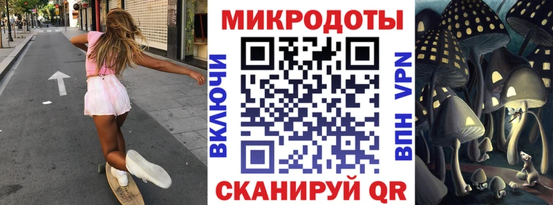 где продают наркотики  Камышин  Псилоцибиновые грибы мицелий 